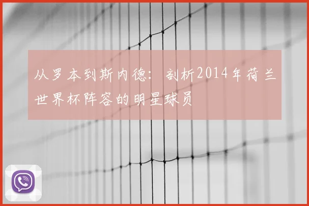 从罗本到斯内德：剖析2014年荷兰世界杯阵容的明星球员